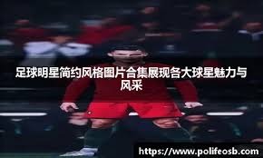 球迷：这就是我热爱这项运动的理由
