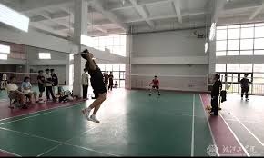 安娜-德-阿玛斯现身F1阿布扎比站挥旗