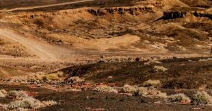 下一款《塞尔达传说》将受光荣衍生作启发